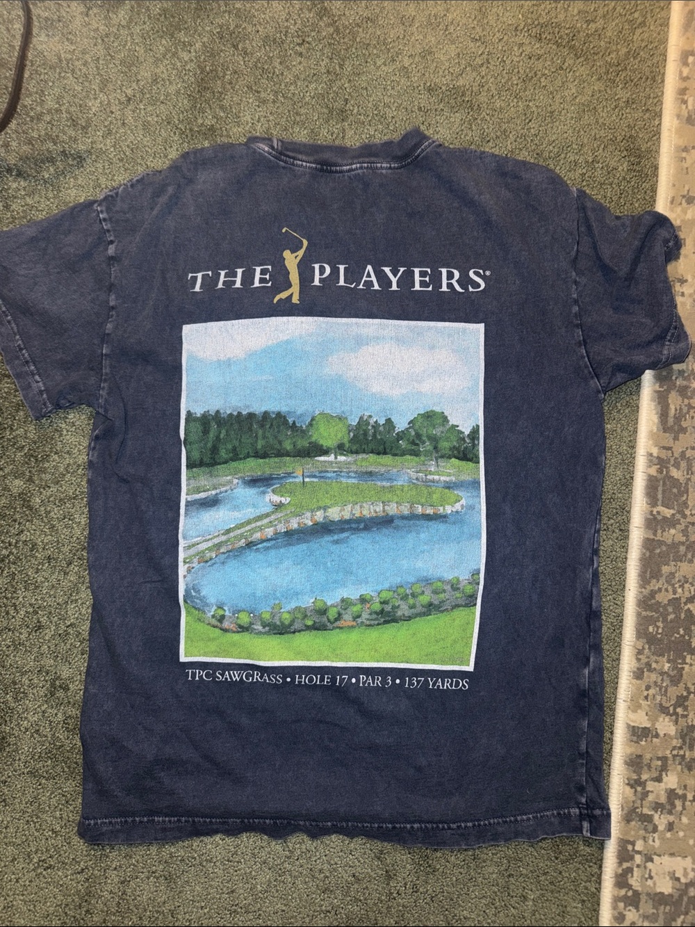 Abercrombie The Players Golf Graphic Tee in Navy with Scenic Back Print